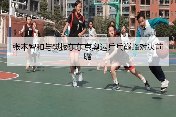 张本智和与樊振东东京奥运乒乓巅峰对决前瞻